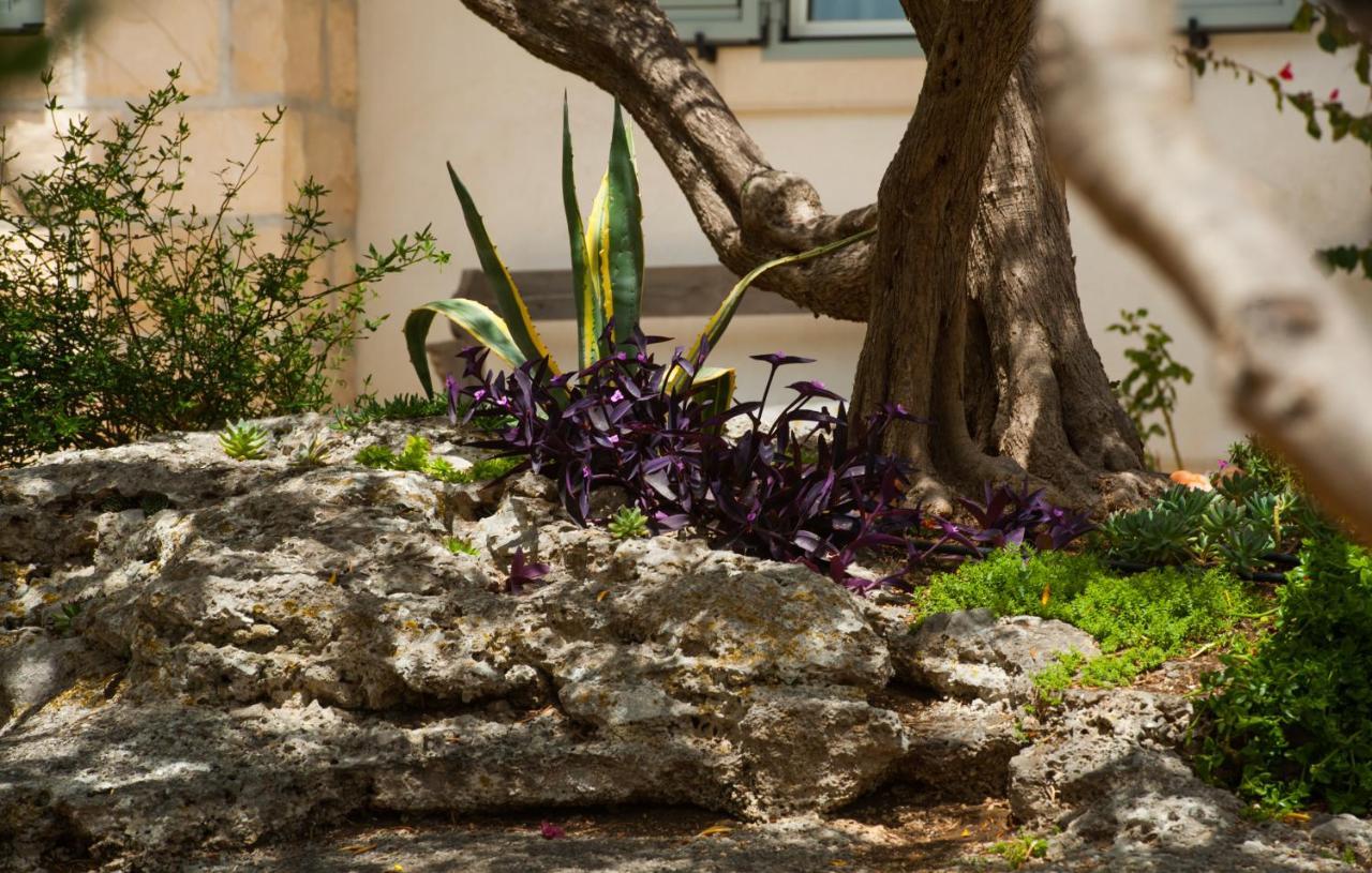 Villa Franka Bol Esterno foto